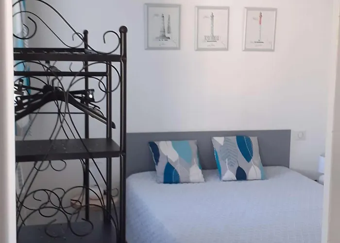 Neuf Lumineux Avec Balcon, Wi-fi, Au Pied De La Du Chay, - Fr-1-494-126 Appartement *